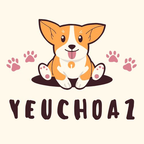 yeuchoaz.com